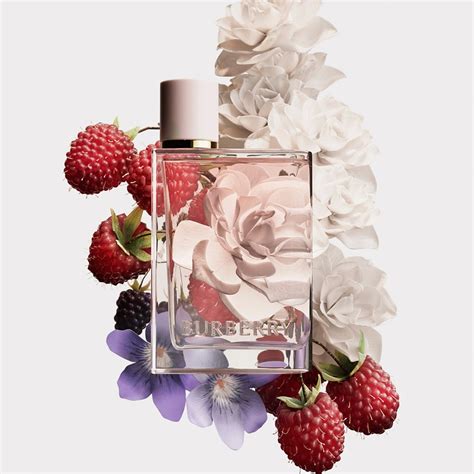 burberry women's perfume her|burberry her perfume best price.